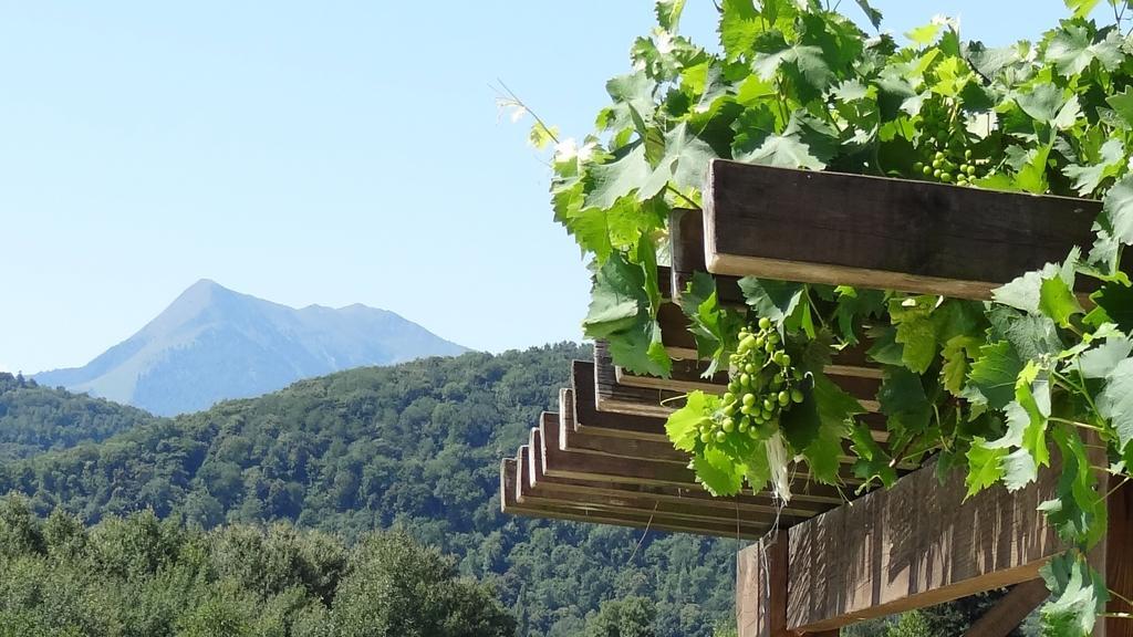 Gîtes Pyrénées Les Trois Montagnes Ganties Habitación foto